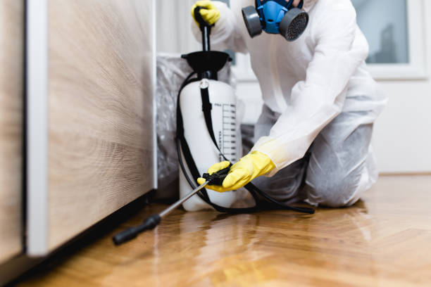 Best Flea Control Services  in Mount Vernon, MD