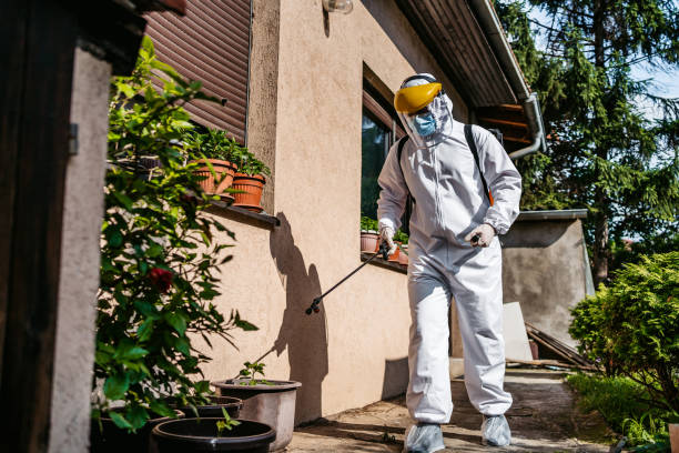 Best Best Pest Control Near Me  in Mount Vernon, MD