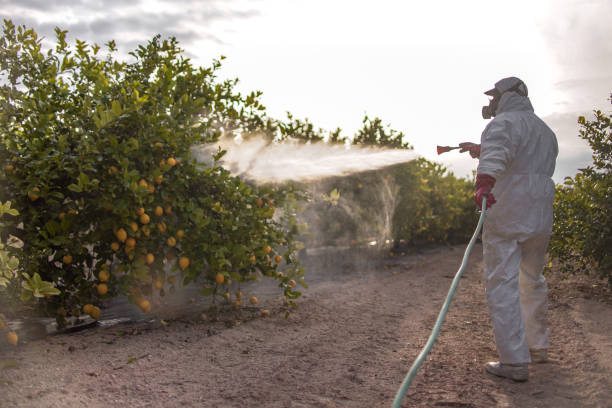 Best Pest Prevention Services  in Mount Vernon, MD