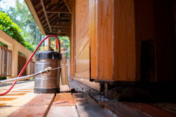 Best Local Pest Control Services  in Mount Vernon, MD