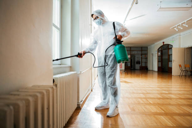 Best Affordable Pest Control Services  in Mount Vernon, MD