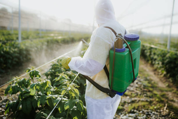 Professional Pest Control in Mount Vernon, MD